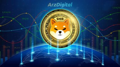 ارزدیجیتال شیبا اینو
