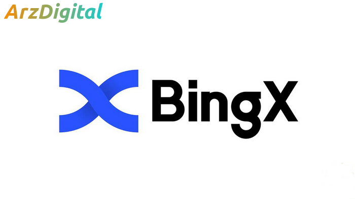 bingX