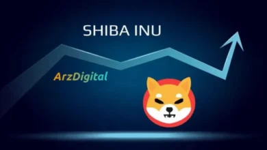 پیش بینی قیمت شیبا در سال 2025