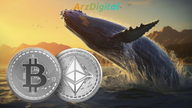 نقشه نهنگ های بیت کوین و اتریوم برای قیمت این دو ارز دیجیتال چیست؟
