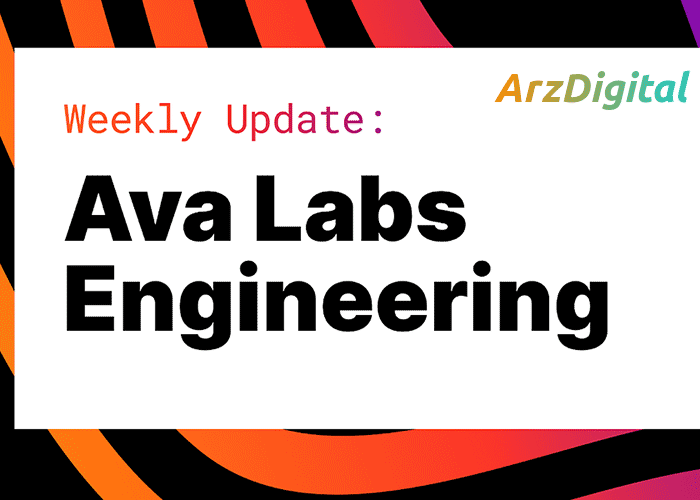 Ava Labs باعث کاهش کارمندان برای تغییر مسیر منابع برای توسعه می شود