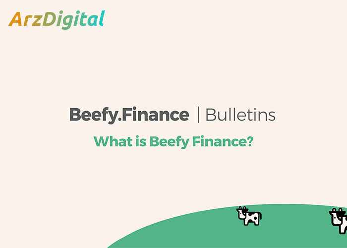 بیفی فایننس چیست؟ آشنایی با پلتفرم تجمیع کننده سود Beefy Finance