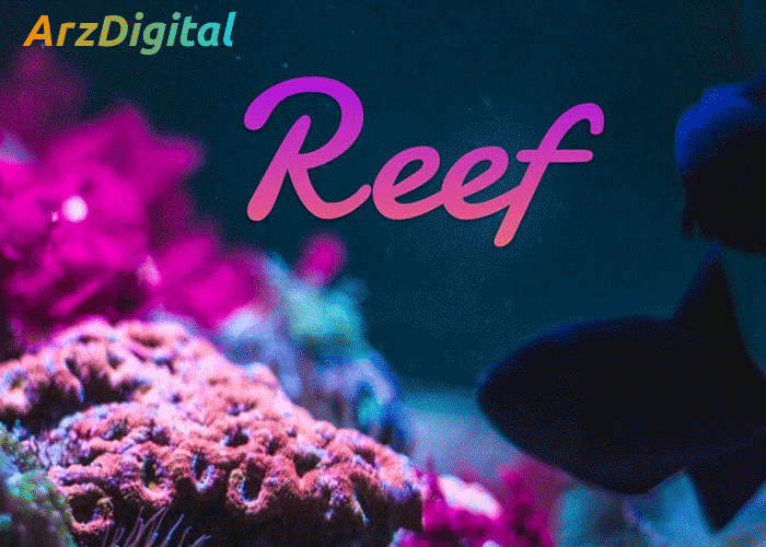 ریف فایننس چیست؟ معرفی پروتکل Reef Finance در پولکادات