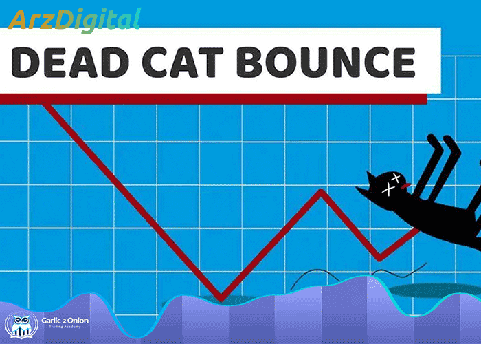 الگوی جهش گربه مرده چیست؟ معرفی Dead Cat Bounce