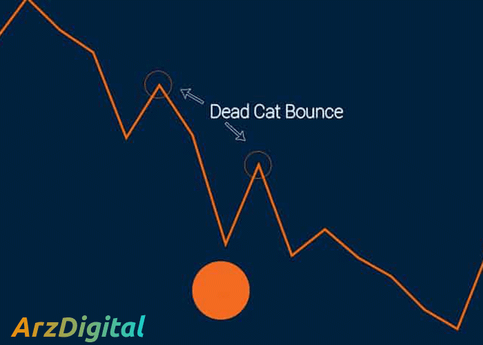 الگوی جهش گربه مرده چیست؟ معرفی Dead Cat Bounce