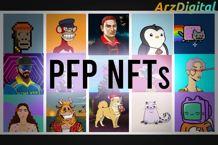 PFP NFT چیست