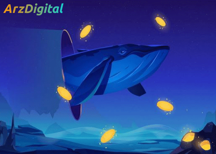 شناسایی کیف پول نهنگ ها؛ نهنگ های ارز دیجیتال را چطور شناسایی کنیم؟