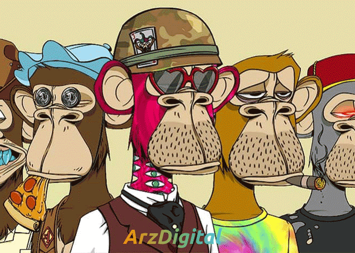 مجموعه باشگاه میمون های کسل؛ آشنایی با bored ape yacht club