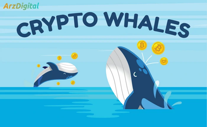 پیش بینی روند بازار و رفتار نهنگ های ارز دیجیتال