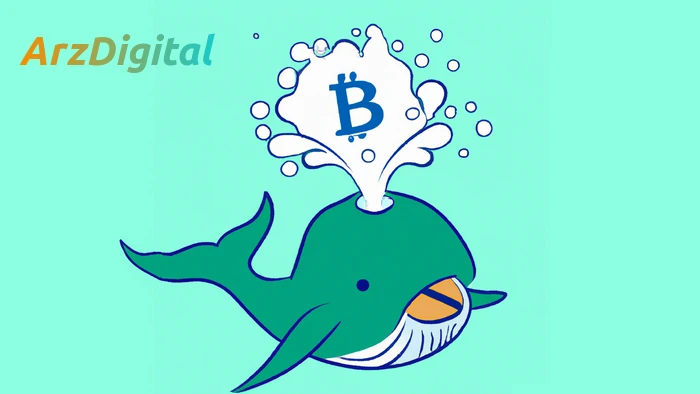 نهنگ ارز دیجیتال چیست