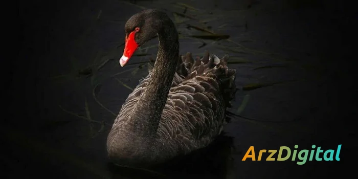 رویداد قوی سیاه چیست ؟ بررسی نظریه Black Swan